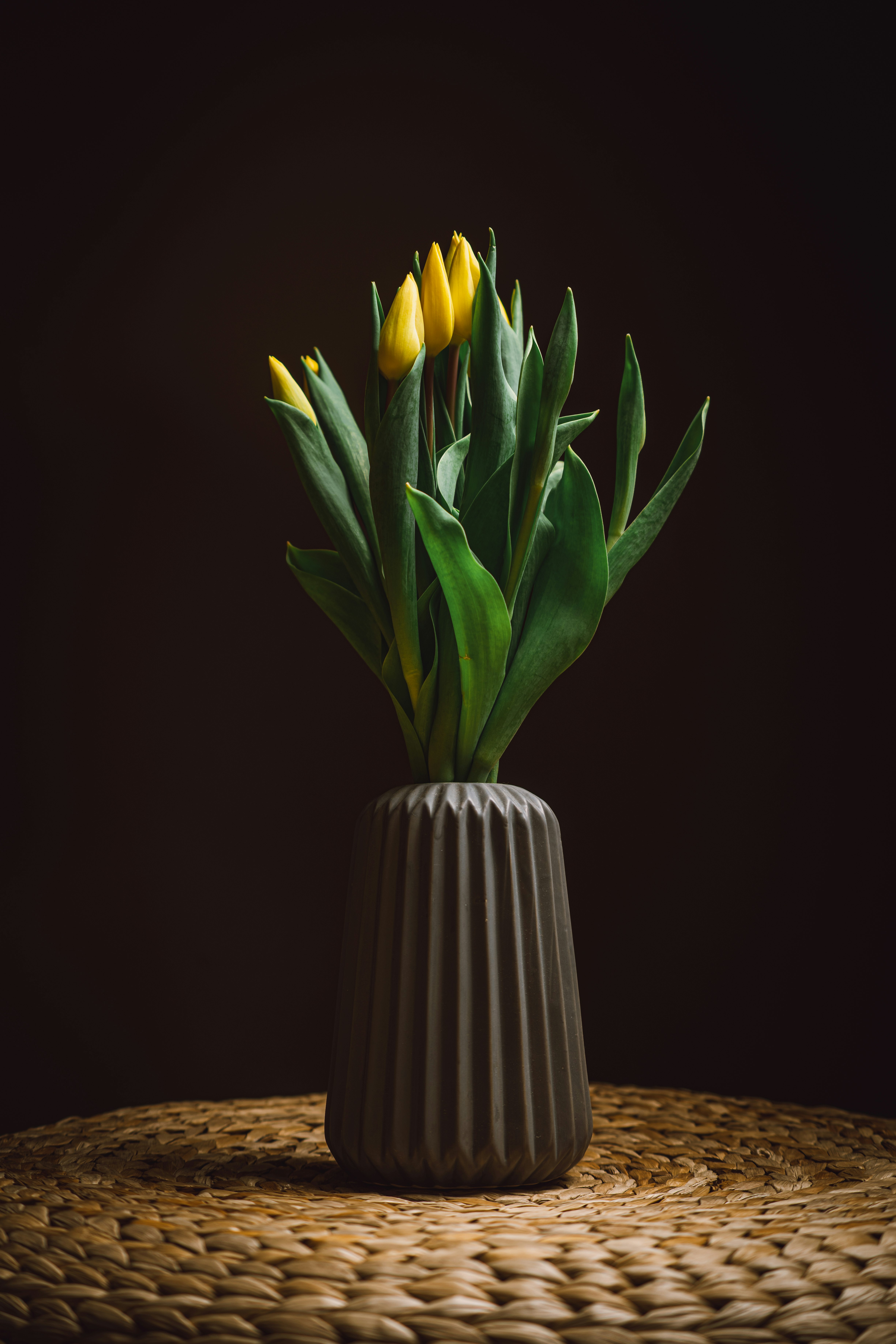 yellow tulips in white ceramic vase